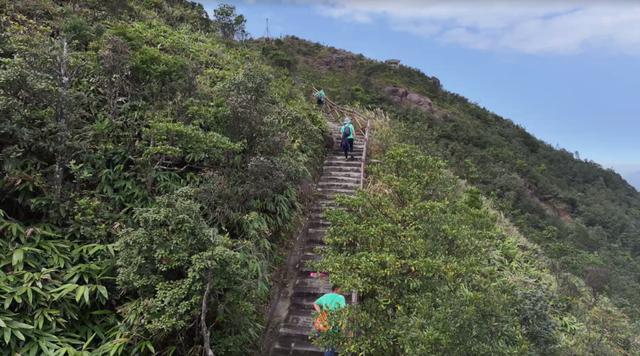 广州5000余游客徒步探索自然 绿美生态体验