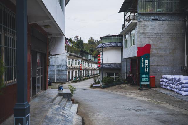 探访安康野猪袭人事发地 小山村成舆情焦点