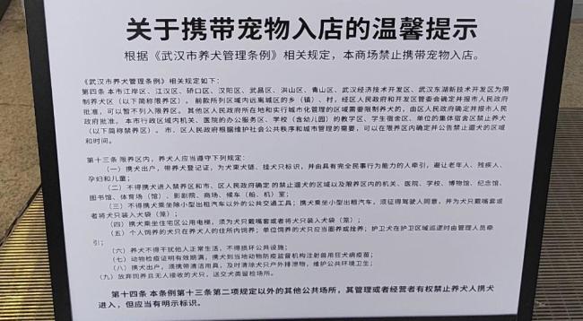 武汉一商场现免费“自助宠物寄存” 宠物主热议便利与安全